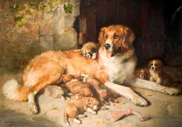 Materfamilias